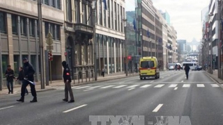 Đánh bom tại Bỉ: Ngừng hoạt động hàng không và đường bộ nối với thủ đô Bỉ