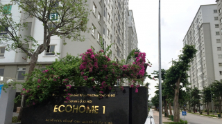 Ở nhà thu nhập thấp, đặt trăm tỷ mua cổ phần khách sạn Kim Liên?