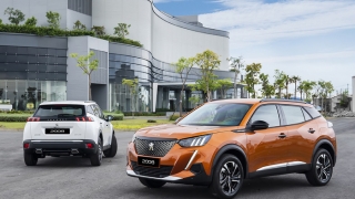 Sau Kia, Thaco tiếp tục tăng giá bán xe Peugeot, cao nhất 45 triệu đồng