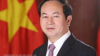 Tiểu sử Chủ tịch nước Trần Đại Quang