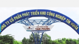 Dư dả tiền mặt, Tín Nghĩa vẫn muốn phát hành tăng vốn