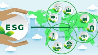 ESG – Xu hướng thế giới và sự nhận diện của nhà đầu tư Việt
