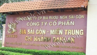 Quý III/2023: Thành viên đầu tiên của Sabeco bị suy giảm doanh thu