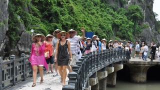 805.072 lượt khách quốc tế đến Việt Nam trong tháng 1/2016