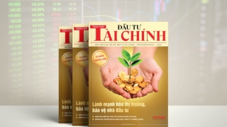 TOÀN CẢNH ĐẦU TƯ TÀI CHÍNH