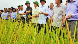 Quảng Trị: Đánh thức tiềm năng ngành Nông nghiệp ứng dụng công nghệ cao