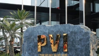 Một công ty chứng khoán trở thành cổ đông lớn của PVI