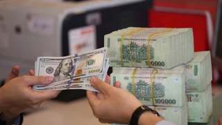 Giá USD 'chợ đen' tiếp đà lao dốc