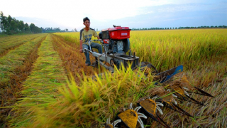 Miễn thuế sử dụng đất nông nghiệp: Có tình trạng gom đất để chờ nhận đền bù