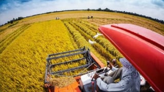 Chủ tịch Tập đoàn CJ muốn lập trung tâm nghiên cứu gạo Việt Nam
