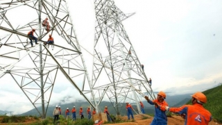 Bị nhắc chậm tiến độ tại dự án đường dây 500kV: Sông Đà 11 đang kinh doanh thế nào?