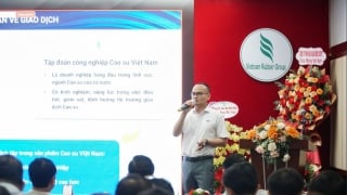 Cao su Việt Nam đi thẳng ra thị trường quốc tế qua Sàn Giao dịch hàng hóa