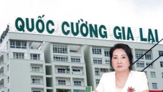 Bà chủ Quốc Cường Gia Lai bị bắt; DN thua lỗ CEO Lộc Trời rời ghế