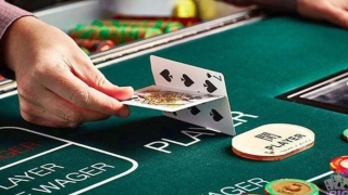 Casino duy nhất ở Hạ Long thua lỗ triền miên