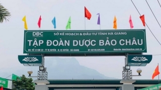 Dược Bảo Châu: Chủ tịch bị bắt, kinh doanh đổ dốc, ‘giấc mơ’ niêm yết dở dang 