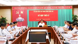 Loạt lãnh đạo Quảng Ngãi vi phạm liên quan Tập đoàn Phúc Sơn