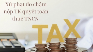 Chậm nộp mấy trăm nghìn thuế TNCN, nhiều người bị bêu tên và xử phạt