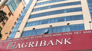 Agribank được tăng vốn điều lệ lên hơn 51.600 tỷ đồng