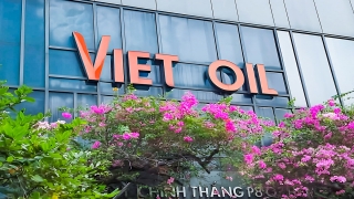 Cựu bí thư tỉnh ủy, Thứ trưởng và loạt quan chức ra tòa trong vụ Xuyên Việt Oil