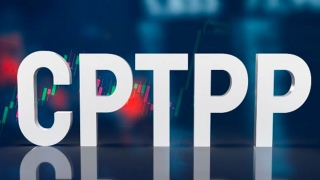 Năm năm thực thi CPTPP: Việt Nam hưởng lợi tỷ USD