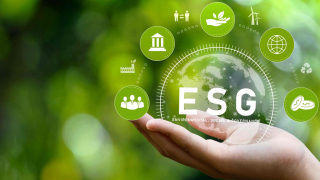 Quỹ ngoại chuộng đầu tư theo ESG, vì sao DN Việt vẫn đứng bên rìa cuộc chơi?