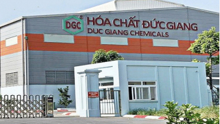 Bố chủ tịch, con tổng giám đốc: Hóa chất Đức Giang có bị phạt như TNG?