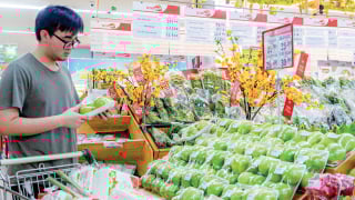 Sôi động cuộc đua mở chuỗi của các nhà bán lẻ
