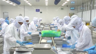 Thách thức kép, doanh nghiệp xuất khẩu 'ngồi trên lửa'