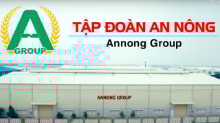 Nợ thuế hơn 21 tỷ đồng, Tập đoàn An Nông bị cưỡng chế