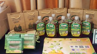 Thưởng 1 tỷ đồng cho các ý tưởng Khởi nghiệp Xanh xuất sắc
