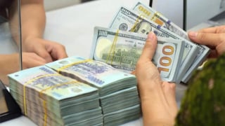 Tỷ giá USD/VND lập đỉnh cao, DN ứng phó những áp lực mới
