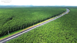 Đồng Nai muốn lập khu thương mại tự do gần Sân bay Long Thành