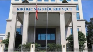 Sắp xếp lại 20 Kho bạc Nhà nước tại 34 tỉnh, thành