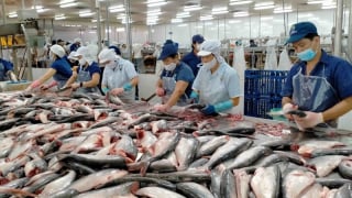 Lợi thế riêng của thủy sản Việt, sẵn sàng ứng phó thuế đối ứng của Mỹ