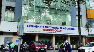 Cung cấp hàng hoá không đảm bảo chất lượng, Thực phẩm thiên nhiên King Green bị cấm thầu 3 năm
