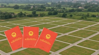 Thủ tướng yêu cầu xử lý vướng mắc thủ tục đất đai, cấp sổ đỏ