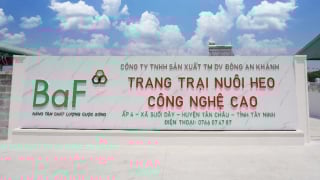 BAF thu lãi kỷ lục nhờ chăn nuôi heo, trắng doanh thu từ thương mại nông sản
