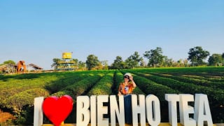 Đánh thức những miền đất: Thơ mộng đồi chè Biển Hồ