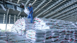 Giá bán liên tục tăng cao, DN phân bón vào vụ lãi lớn