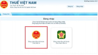 Lưu ý quan trọng cho hộ kinh doanh: 8 bước kê khai thuế điện tử quý II/2026