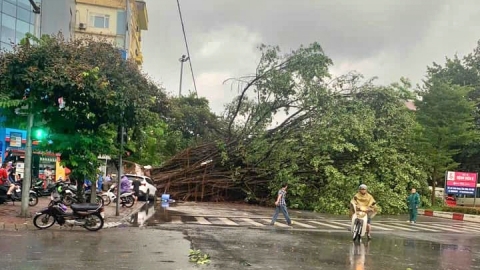 Siêu bão Yagi vào Hà Nội: Cây đổ la liệt, gió giật tung mái xưởng giày Thượng Đình