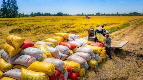  'Hạt ngọc' Việt Nam có giá đắt đỏ nhất thế giới