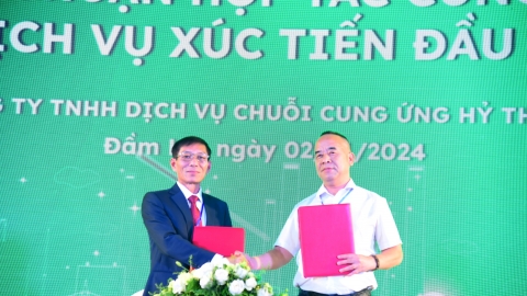 Quảng Ninh: CCN Đông Đầm Hà B hút nhà đầu tư Trung Quốc