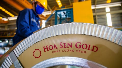 Bất chấp căng thẳng thuế quan, Hoa Sen báo lãi 460 tỷ sau 7 tháng 