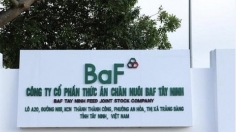 BAF Việt Nam: Liên tiếp thâu tóm 7 DN chăn nuôi trong hơn 1 tháng