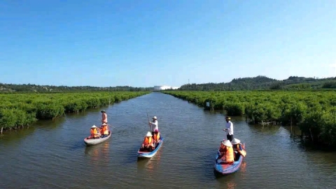 Quảng Ngãi: Thu hút đầu tư lưu trú cao cấp, đưa du lịch thành ngành kinh tế mũi nhọn 