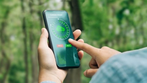 Tín chỉ carbon là 1 loại tiền tệ, Việt Nam có lợi thế trong cuộc chơi toàn cầu