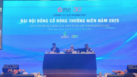 PVI: Tiến sát mốc doanh thu tỷ USD, chốt cổ tức tiền mặt gần 32%