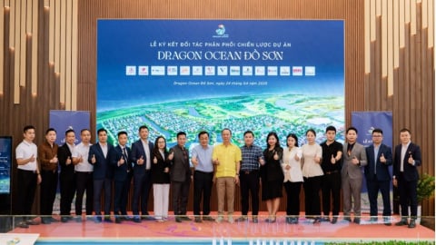 Hợp tác phân phối Dragon Ocean Đồ Sơn: Khởi động làn sóng đầu tư mới tại Hải Phòng