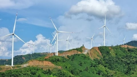 Quảng Trị 'khai tử' loạt dự án điện gió vì chậm tiến độ